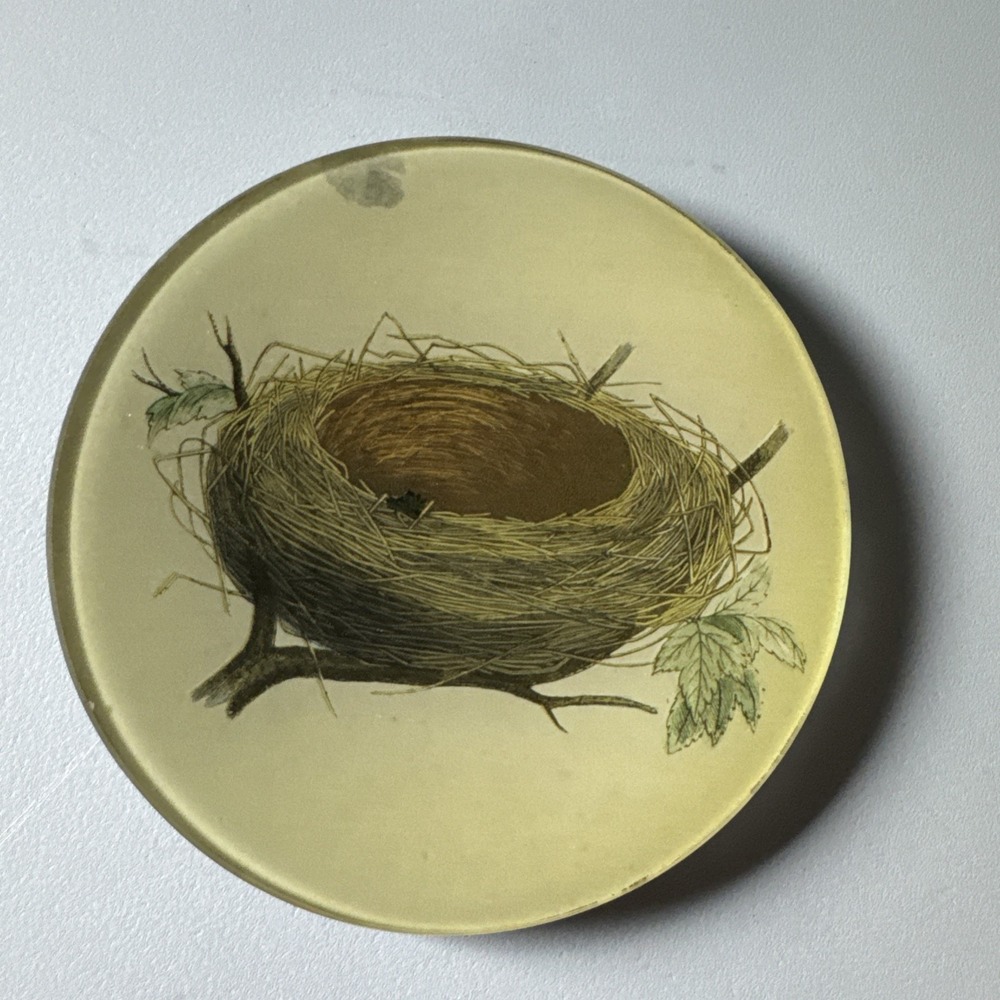 John Derian Signed Bird Nest Decoupage Glass Round Plate Dish Tray READ